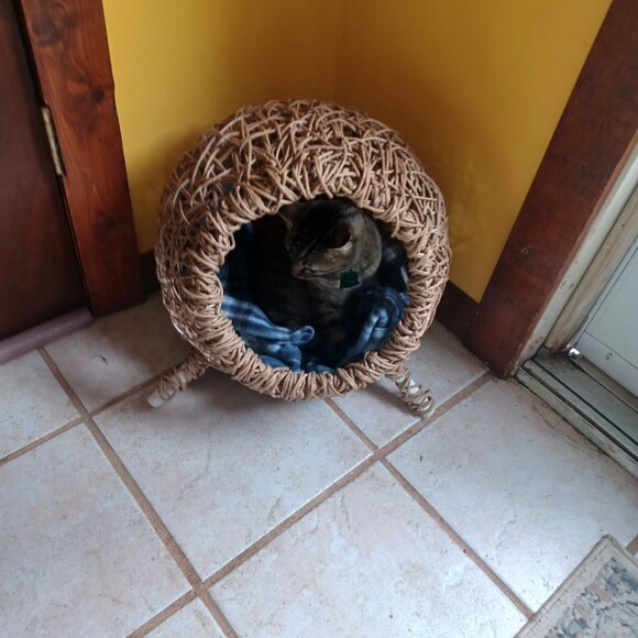 Handmade FiberRush Cat/Dog Bed - Picture 7 of 16